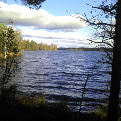 2012 Fegen blick auf den See