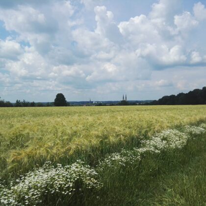 2020 Billerbeck Blick von Möllerings Hügel