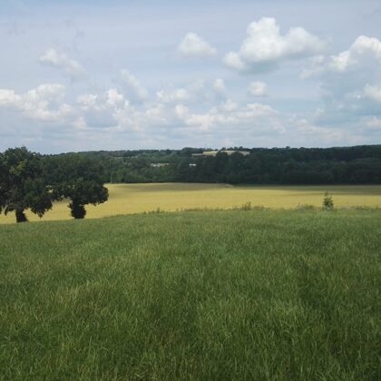 2020 Billerbeck Blick von Möllerings Hügel