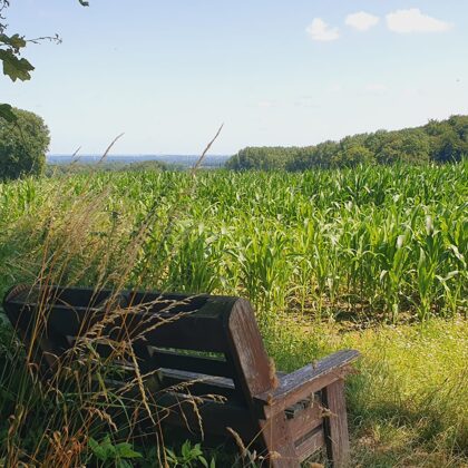 2021 - Baumberge Wanderweg B4