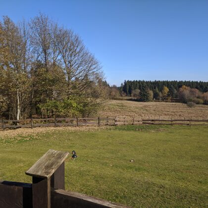 2019 In der Nähe von Lützel