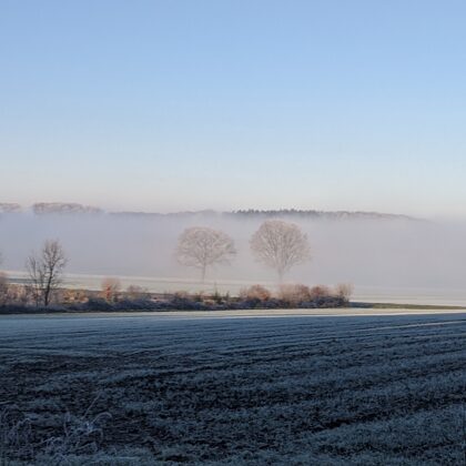 2020 Oberdarfeld Winternebel