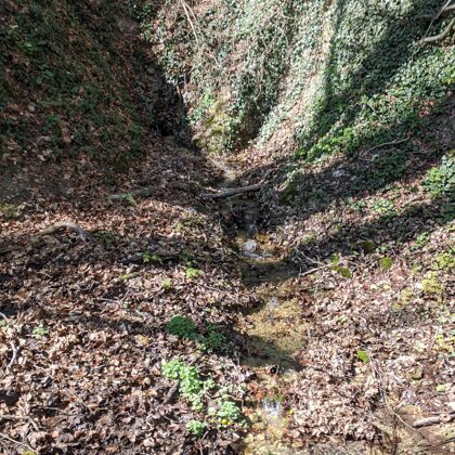 2020 Hexenpütt / Sieben Quellen