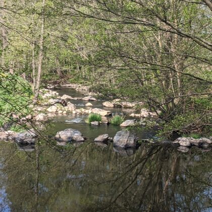 2020 Bekendelle Die Boven Slinge bei "De TheeKeet"