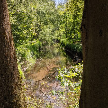 2020 Winterswijk Blick auf die Boven Slinge nahe De Berenschot