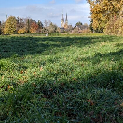 2020 Billerbeck Blick aus der Berkelaue zum "Dom"