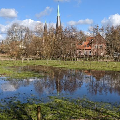 2021 Billerbeck - Spiegelung nach Schneeschmelze