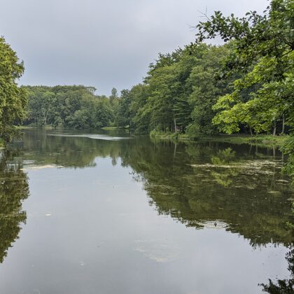 2021 - Haagse Bosvijver im Haagse Bos