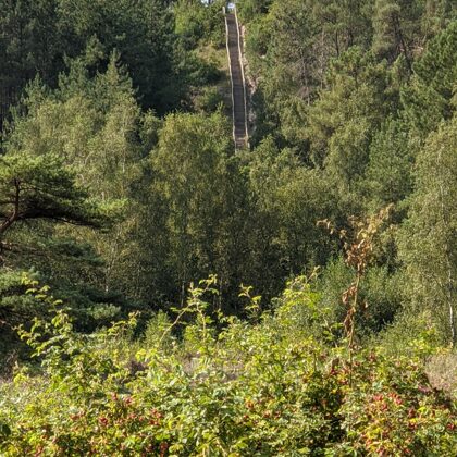 2021 Schoorl (NL) Schoorlse Duinen