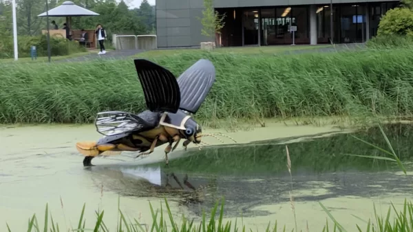2018 Wageningen Skulptur auf dem Campus