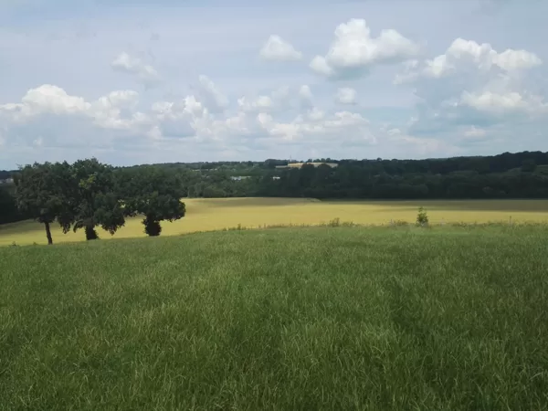 2020 Billerbeck Blick von Möllerings Hügel