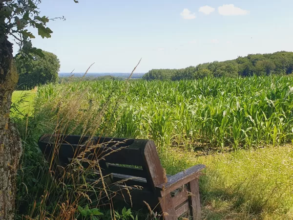 2021 - Baumberge Wanderweg B4