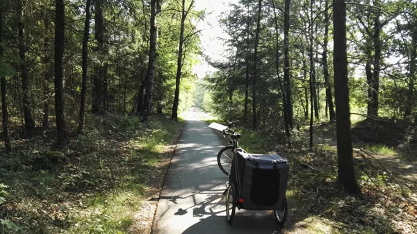 2017 Amerongse Bos