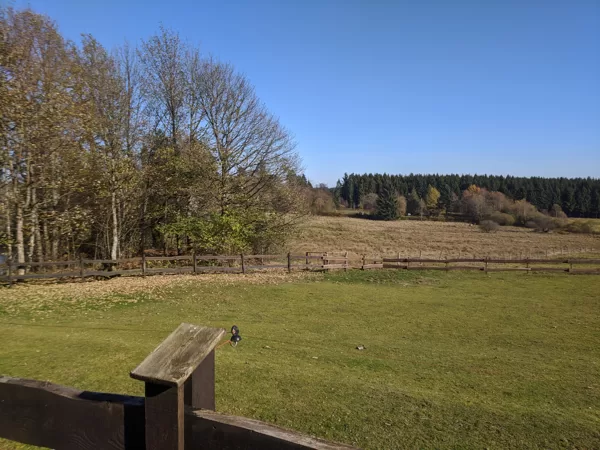 2019 In der Nähe von Lützel