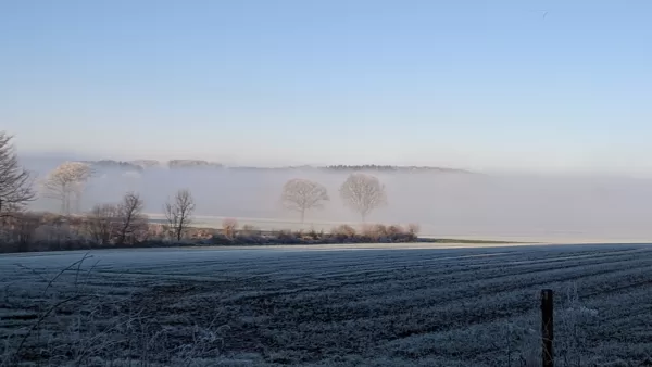 2020 Oberdarfeld Winternebel