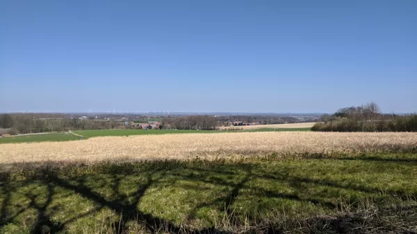 2020 Bockelsdorf Blick nach Schöppingen