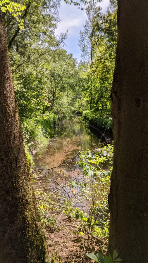 2020 Winterswijk Blick auf die Boven Slinge nahe De Berenschot
