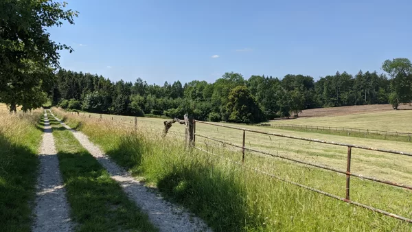 2020 Roruper Holz