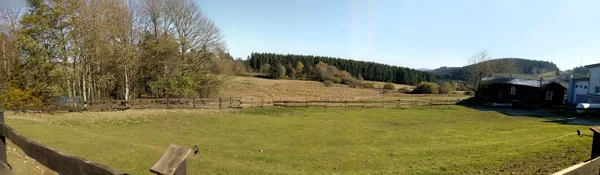 2019 In der Nähe von Lützel