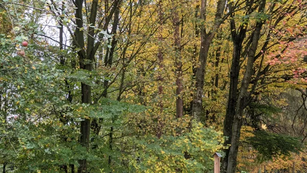 2020 Billerbeck Herbstfarben