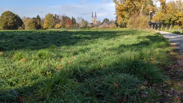 2020 Billerbeck Blick aus der Berkelaue zum "Dom"