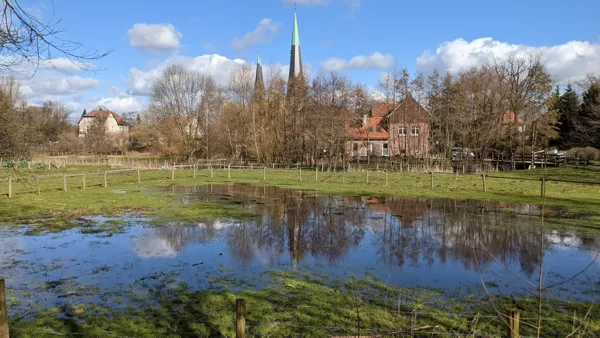 2021 Billerbeck - Spiegelung nach Schneeschmelze