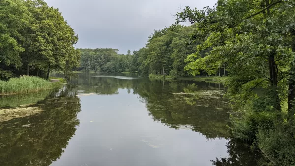 2021 - Haagse Bosvijver im Haagse Bos