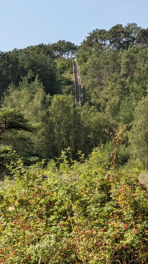 2021 Schoorl (NL) Schoorlse Duinen