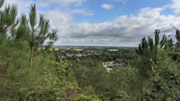 2021 Blick von den Dünen über Schoorl (NL)