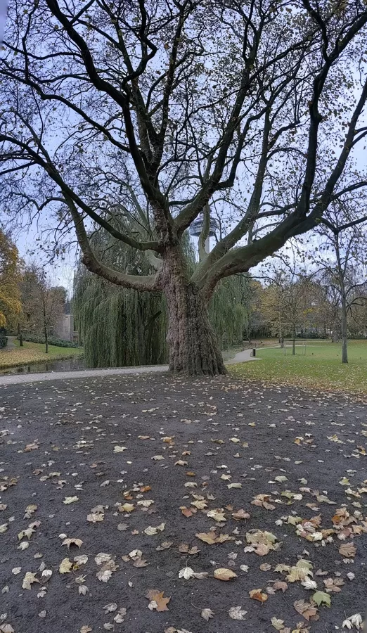 2022 Het Park Rotterdam