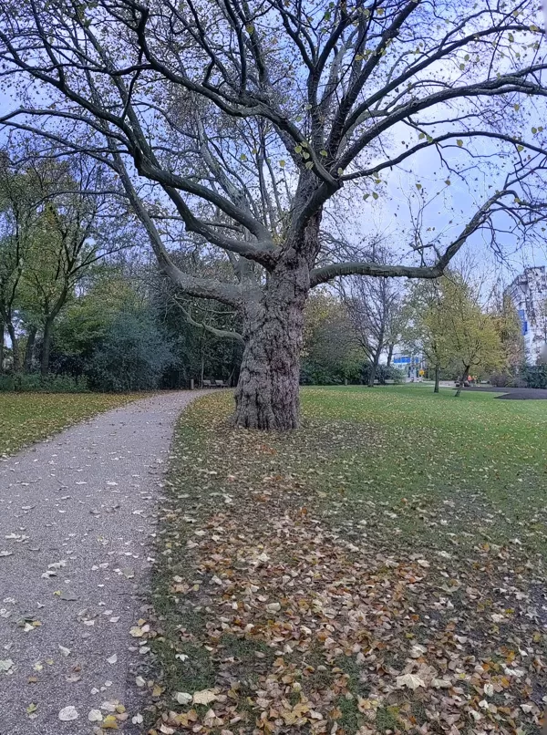 2022 Het Park Rotterdam
